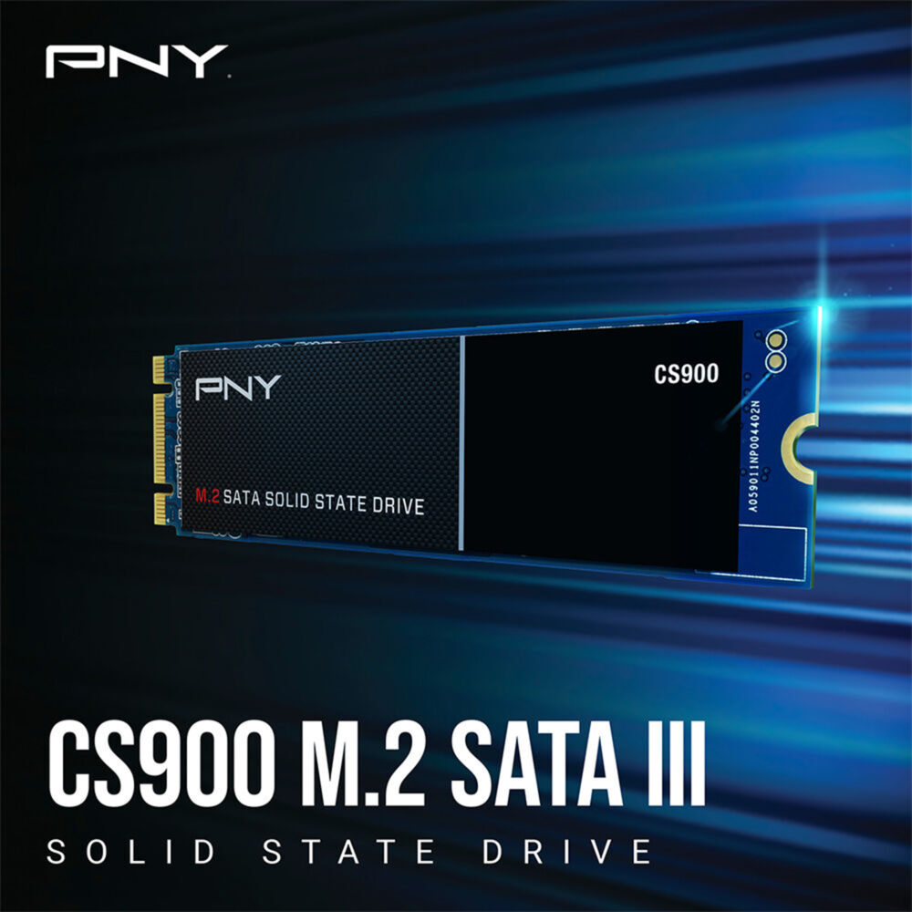 PNY-CS900-250GB-M.2-SATA-III-Internal-SSD-M280CS900-250-RB-4
